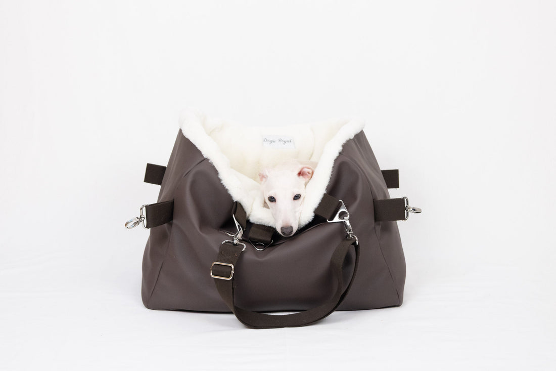 Best Dog Carrier for Small Dogs