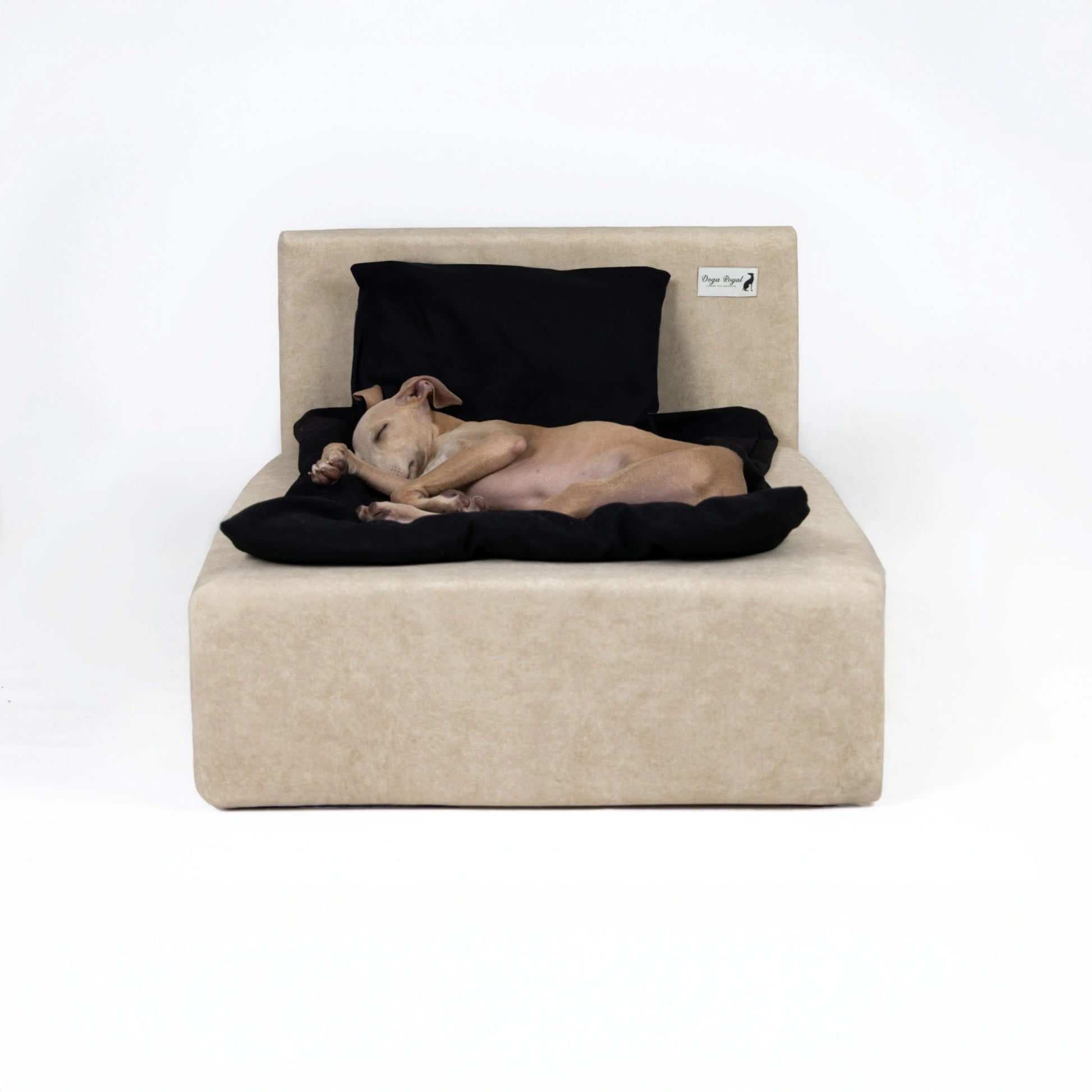 Small luxury dog bed bundle with duvet and black cover – premium designer dog bed by Doga Royal for modern interiors.